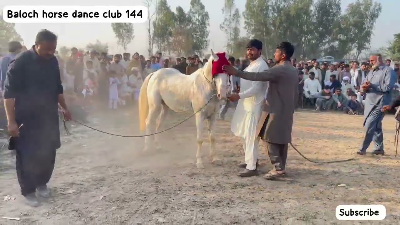 گھوڑا چمن کی دل موہ لینے والی پرفارمنس | سوار اعظم استاد نصر علی مالکہ کا شاہکار ہارس ڈانس