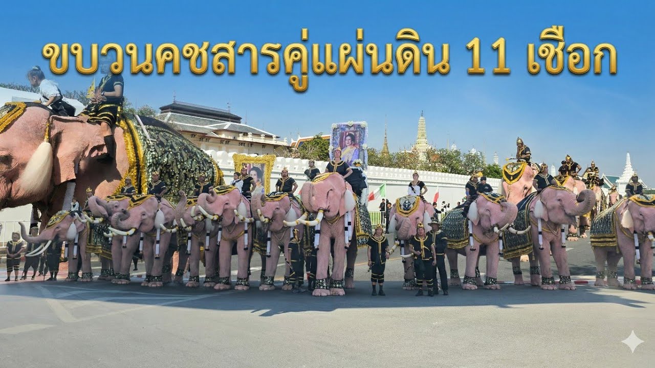 ขบวนคชสารคู่แผ่นดิน 11 เชือก