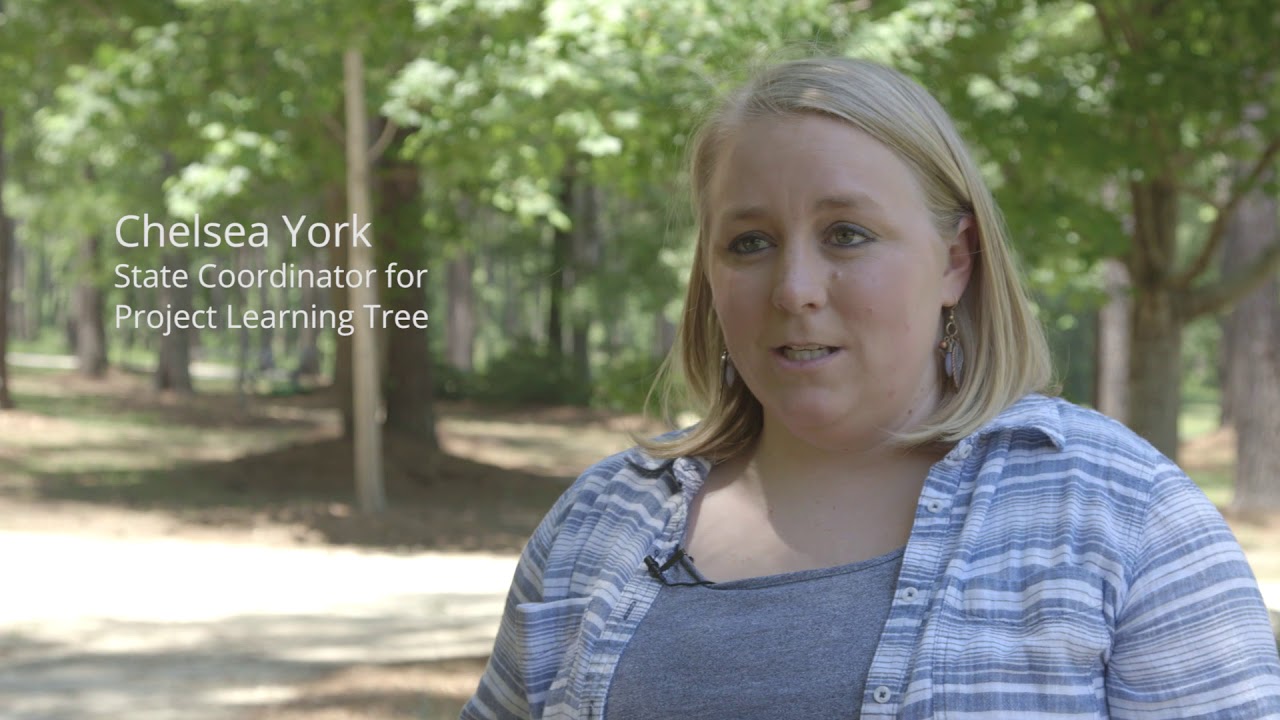 Teaching with PLT is fun and hands-on