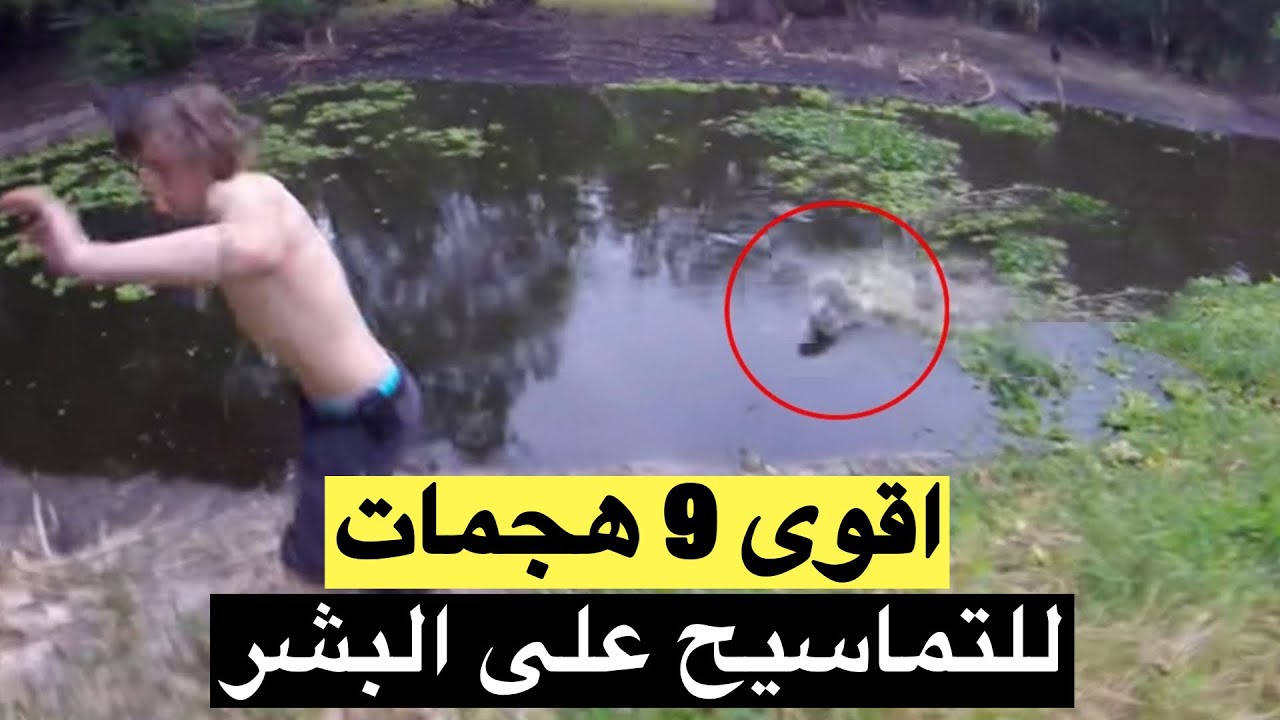 اقوى 9 هجمات للتماسيح  على البشر! الاخير محظوظ بشكل لا يصدق !!