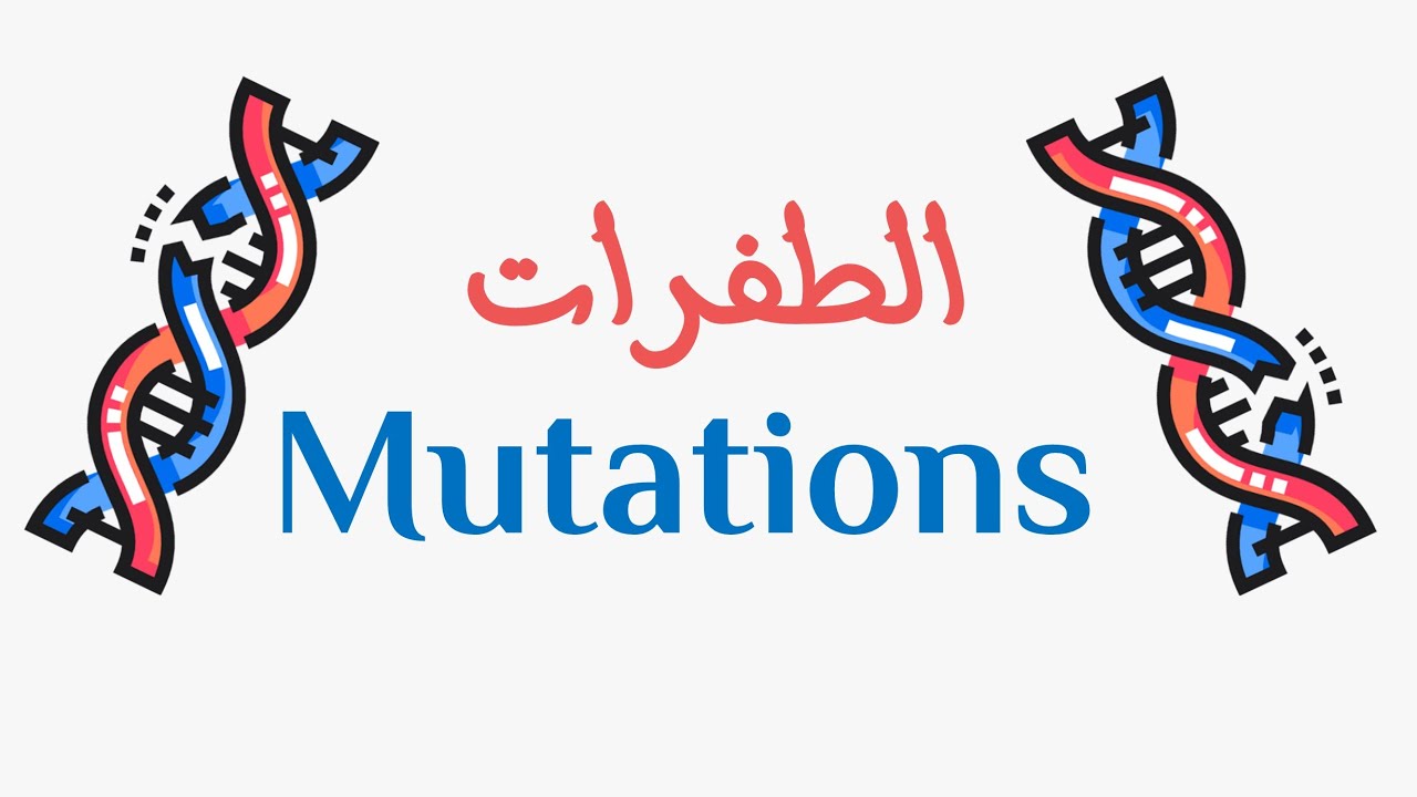 شرح الطفرات - البيولوجيا الجزيئية | الصف الثالث الثانوي نظام جديد