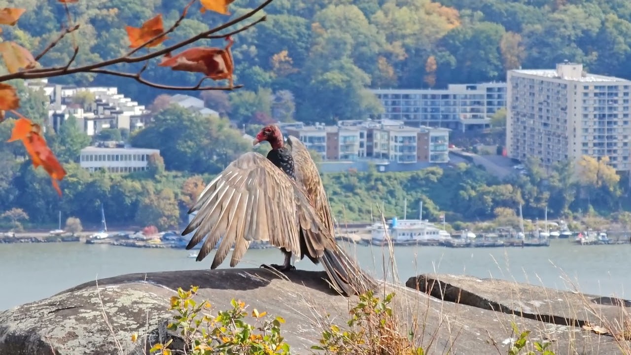 Palisades Interstate Park Hike, NJ, NY 