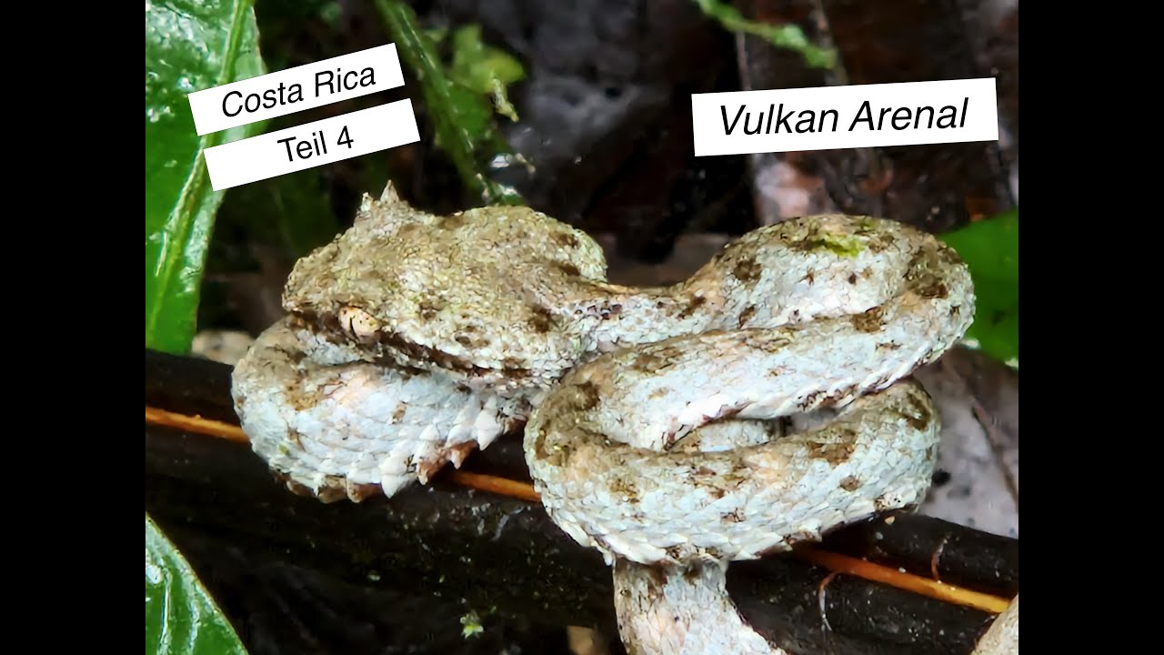 Costa Rica Teil 4 Vulkan Arenal