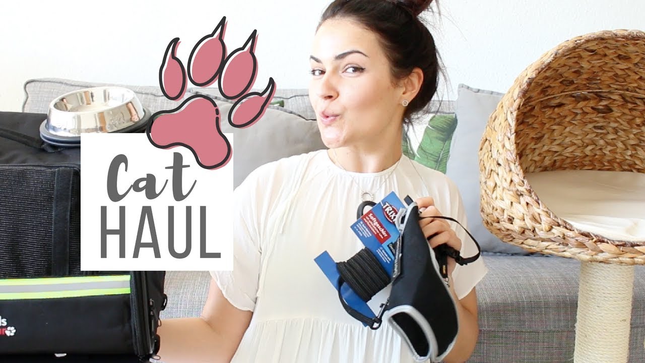 Das brauchst du für deine Babykatze | HAUL