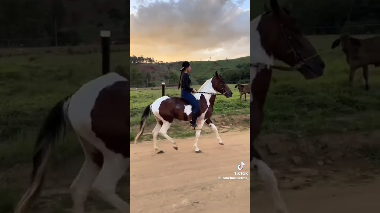 Um carreiro bão demais compositor Edimar Lazaro Gomes 