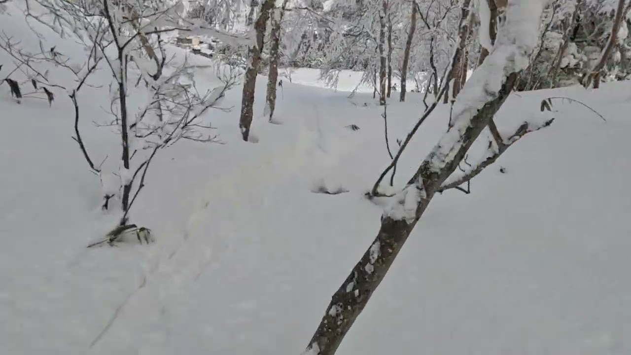 Riding powder with Ben 熊之湯