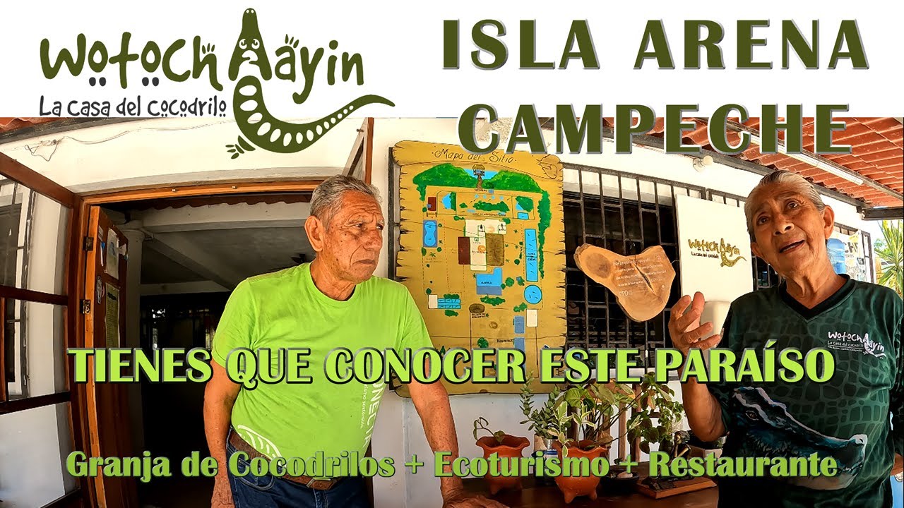 Wotoch Aayin: El santuario que salv&oacute; al Cocodrilo Moreletii en la Pen&iacute;nsula. 🐊 | Parte 1