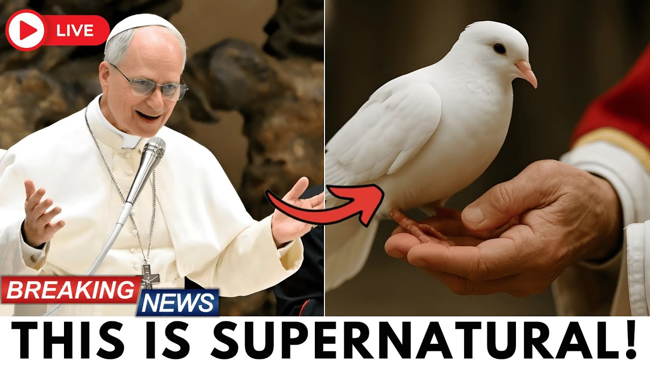 🕊️ Pope Leo XIV Held Out His Hand… And A Dove Landed Inside the Basilica