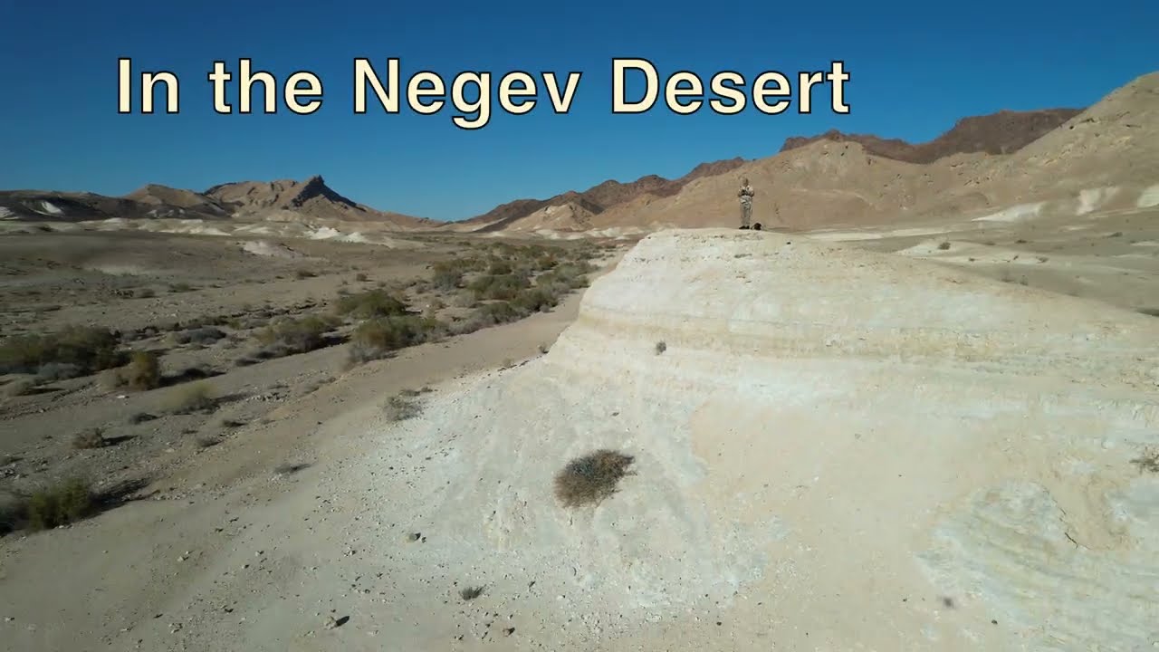In the Negev Desert