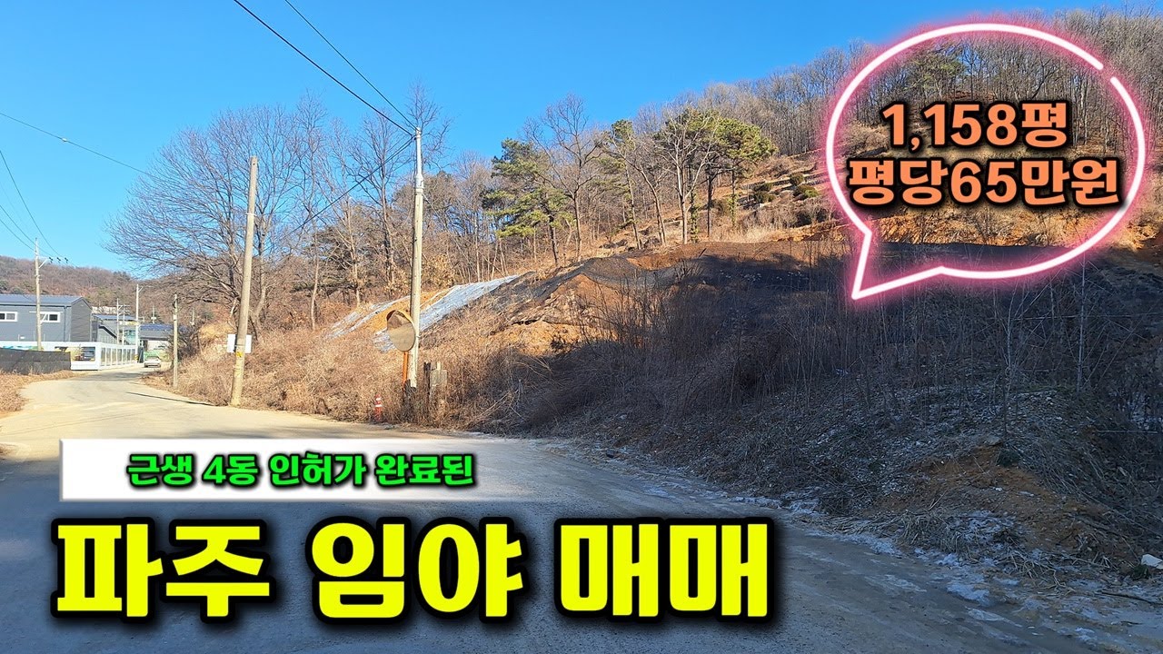 근생 허가득한 파주임야매매 #파주토지매매