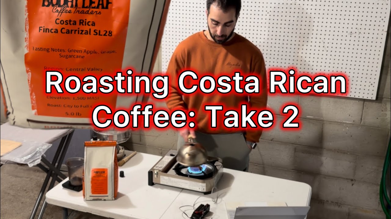 Roasting 3 Batches of a Costa Rican Coffee | Hive Coffee Roaster