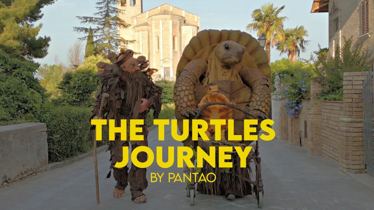 SCHILDKRÖTEN AUF REISEN | The Turtles Journey by PANTAO & Te Mātai Digital 2025