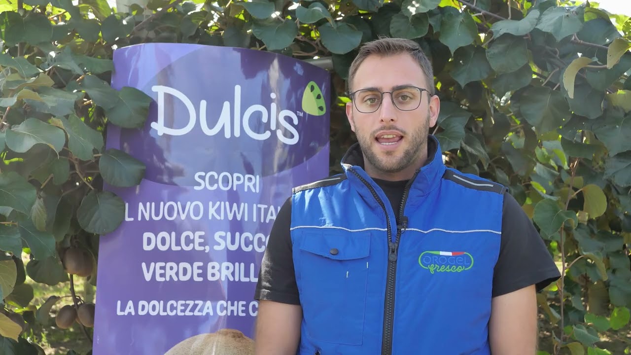 Kiwi Dulcis: il prodotto più atteso dell'autunno