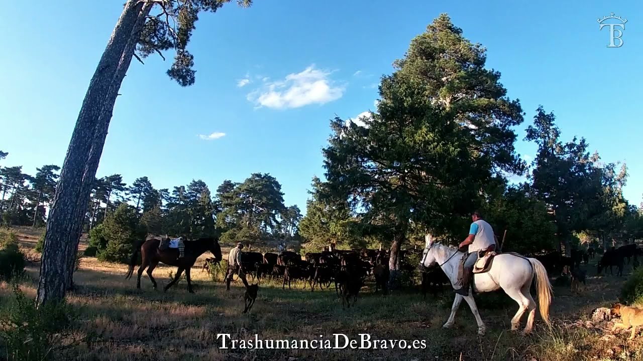 Tierra Muerta