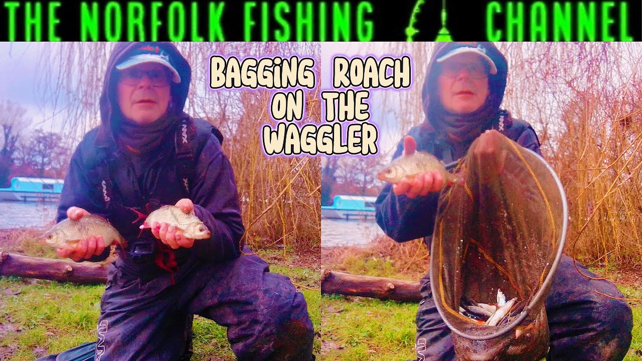 Bagging Roach on the waggler