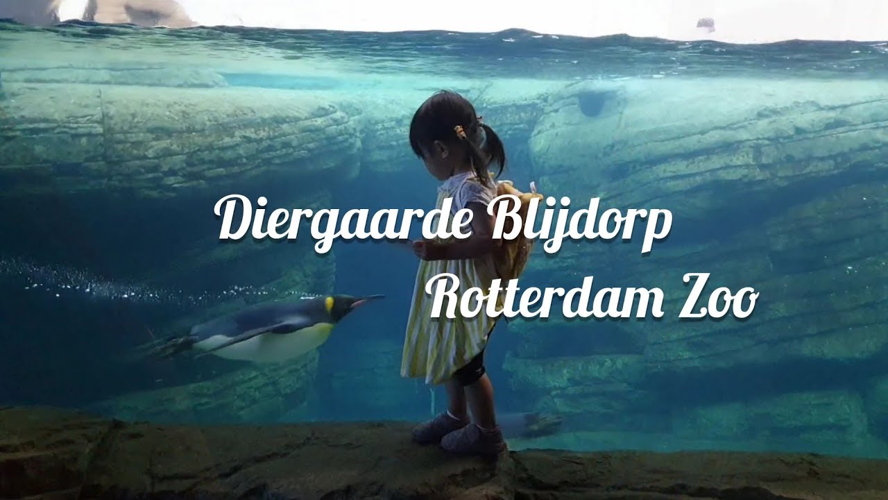 Diergaarde Blijdorp (Rotterdam Zoo), Netherlands
