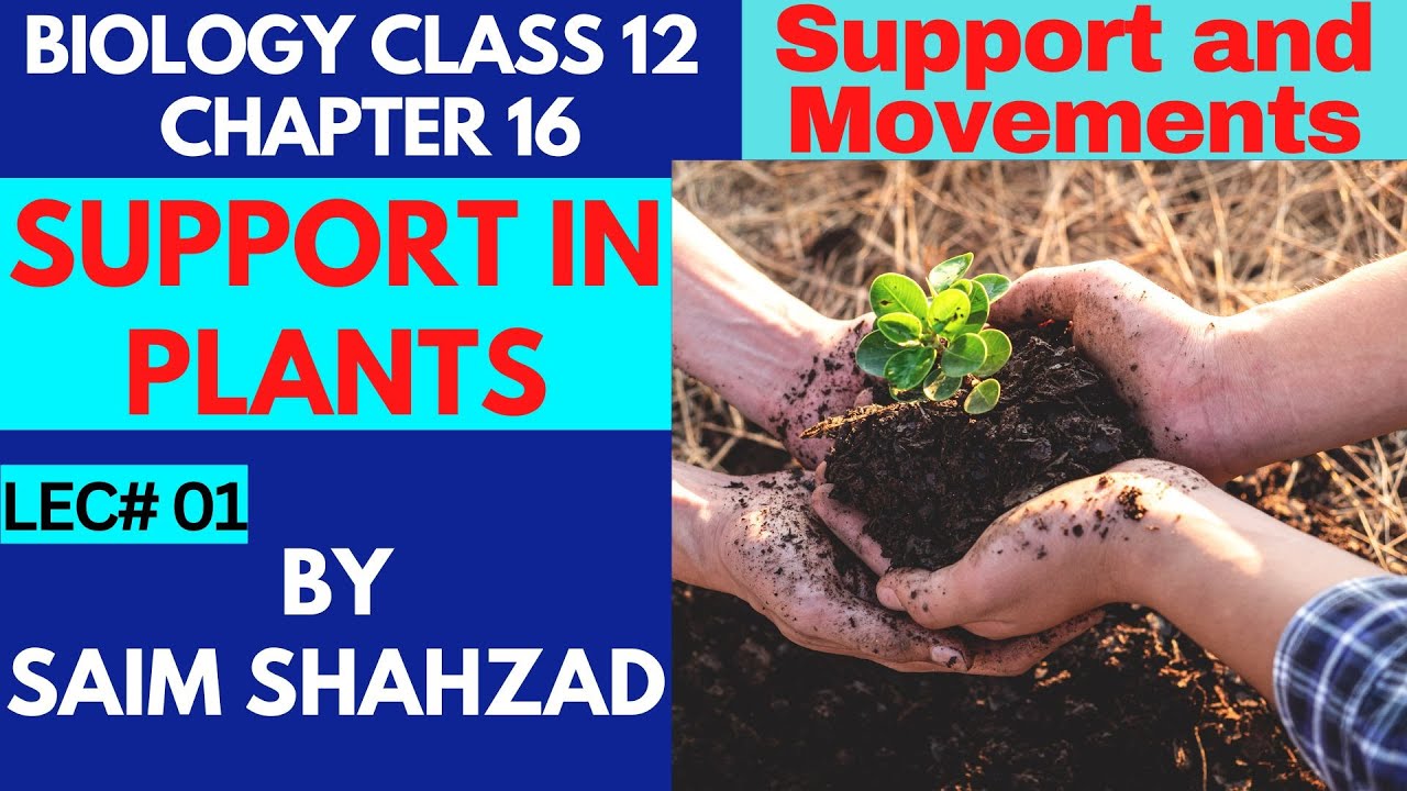 Biology Class 12 Chapter 16 Support and Movements Topic Support in plants in Urdu/Hindi