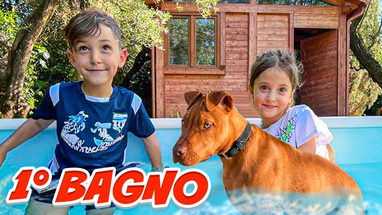 BUTTIAMO IL NOSTRO CANE ROCKY IN PISCINA PER LA PRIMA VOLTA E SCOPRIAMO CHE SA NUOTARE!
