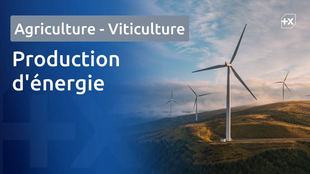 [Banque Populaire] Production d'&eacute;nergie : une solution pour diversifier les revenus agricoles ? 🌱