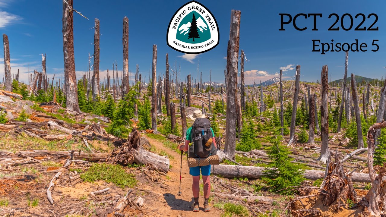 PCT 2022 Episode 5: Summit Lake, Willamette Pass, and Bobby Lake