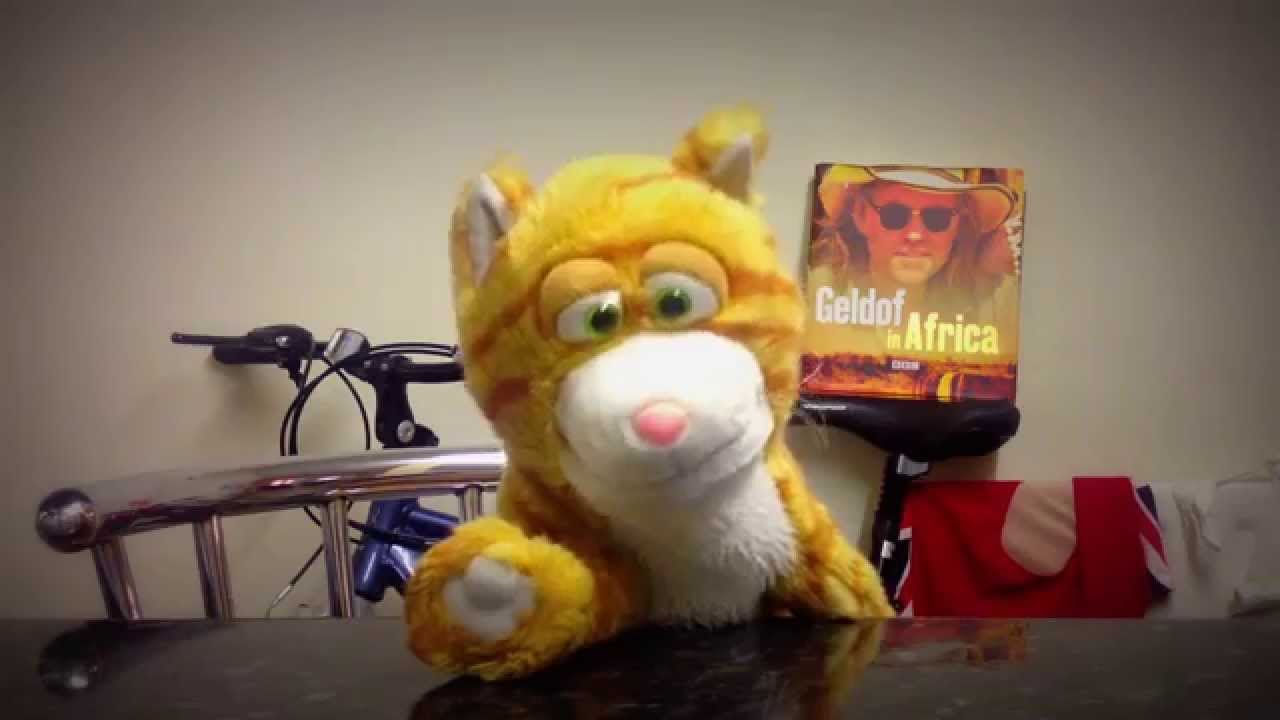 Ginger The Cat!