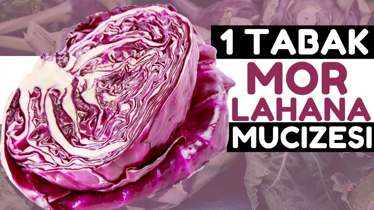 1 Tabak Mor Lahana Vücudunuza Bunları Yapıyor | Mor Lahananın Faydaları Nelerdir?