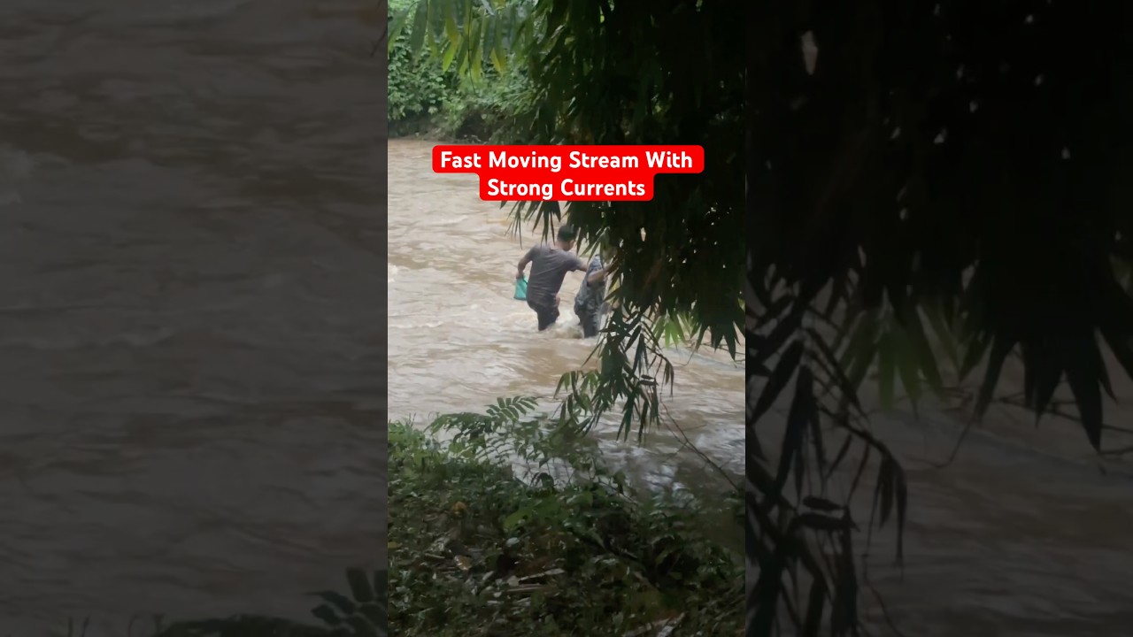 #flood #river #disaster #monsoon
