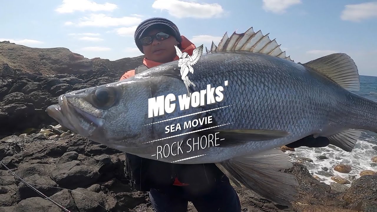 MC works' 公式 ≫ -ROCK SHORE- ≫ 青物とヒラスズキを狙ってパノラマ釣行。風になって歩く。
