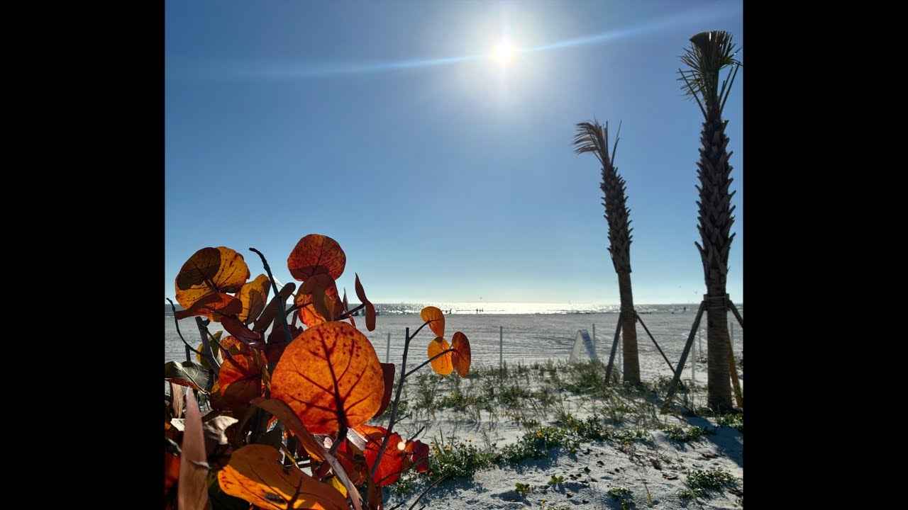 LIVE Beach Report from Fort Myers Beach
