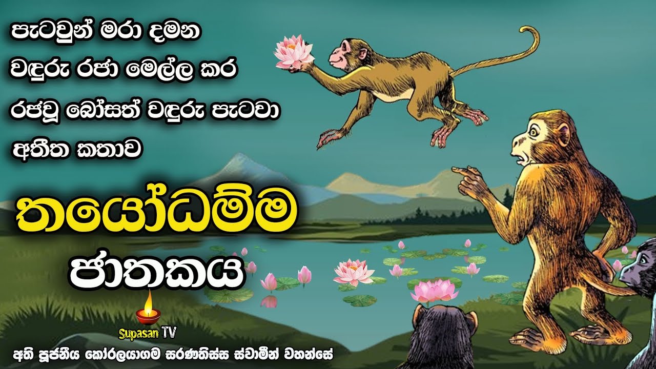 තයෝධම්ම ජාතකය | පැටවුන් මරාදමන වඳුරු රජා පරදවා රජ වූ වඳුරු පැටවා | Thayodamma Jathakaya