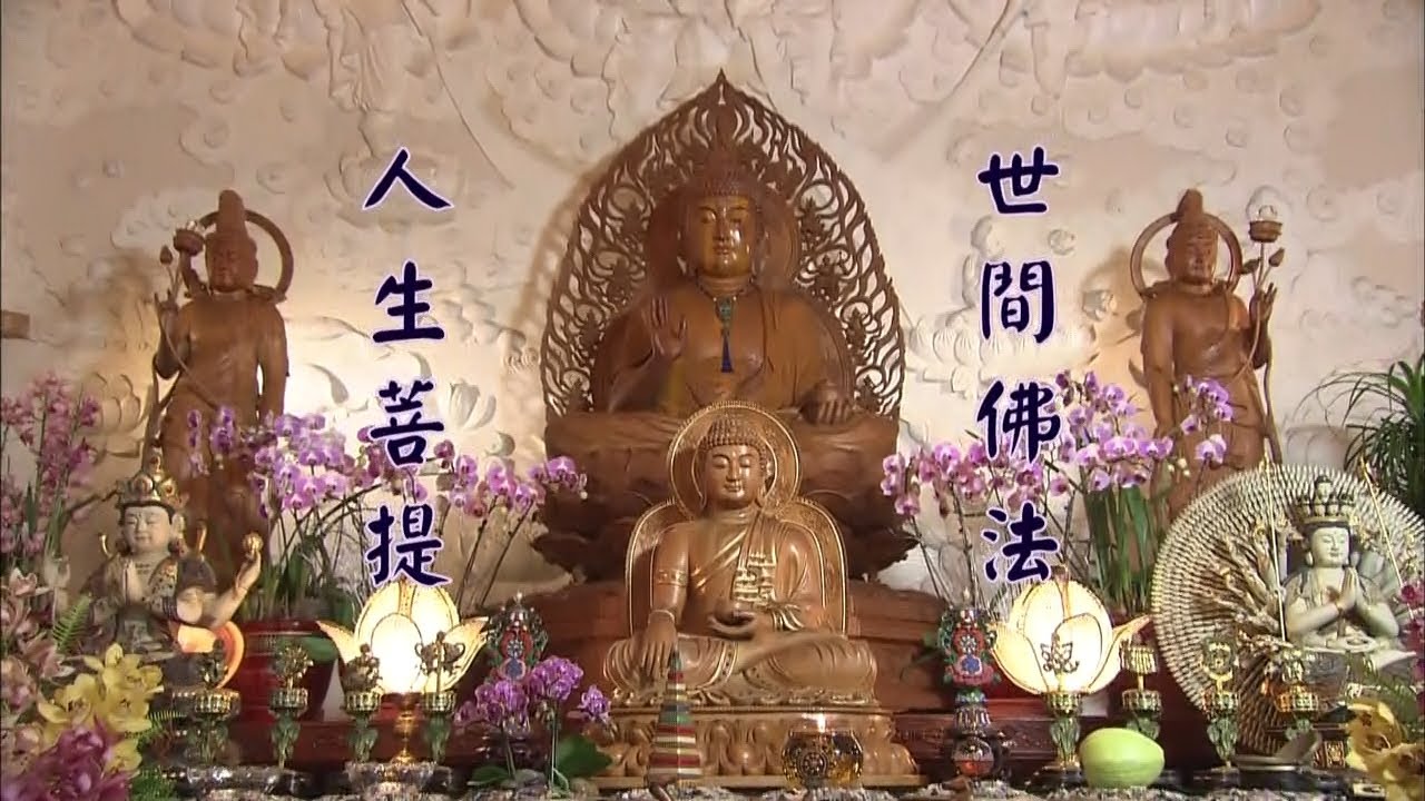 人生菩提 第60集