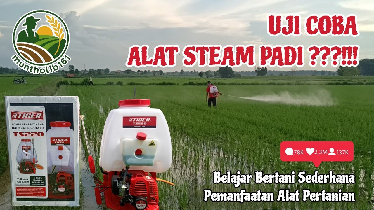 Unboxing Alat Steam Padi ???!!! Belajar Bertani Sederhana #belajarbertani #belajartani #unboxing