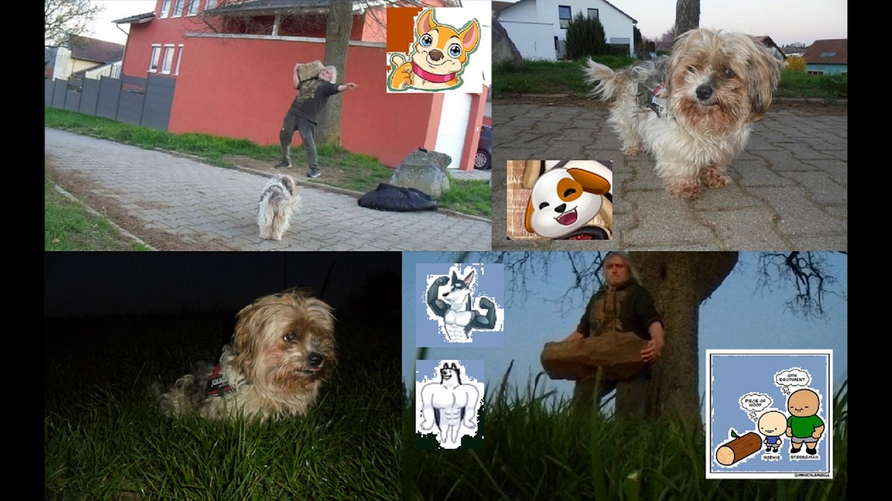 THURSDAY EVENING WALK/Steinheben: c.a. 40 - 50 kg Stein schultern/Farmers Walk 50 kg plus 👍🏻💪🏻😊🐶🪨🌳🍐🌃