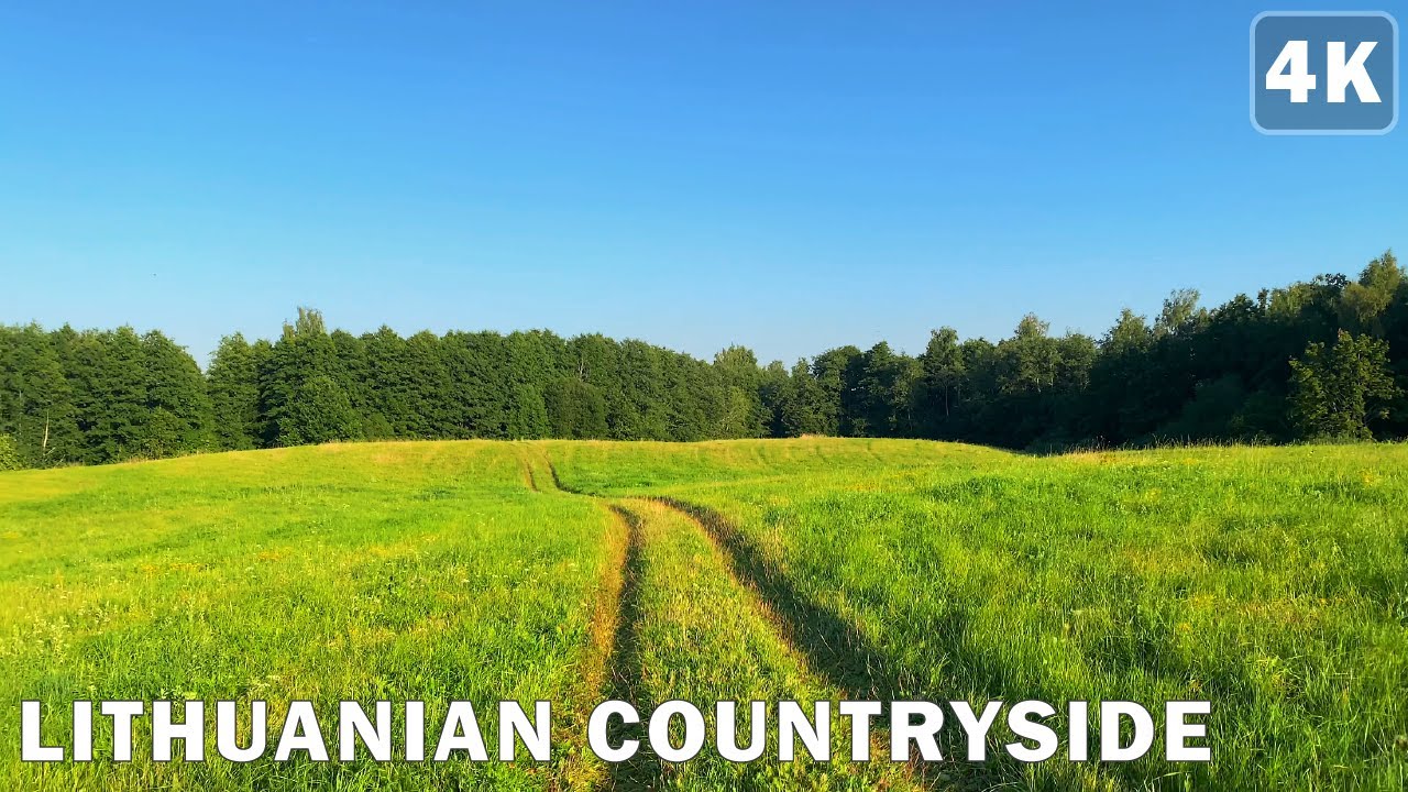 Walk in Lithuanian Countryside • Late Summer Lake • 🇱🇹