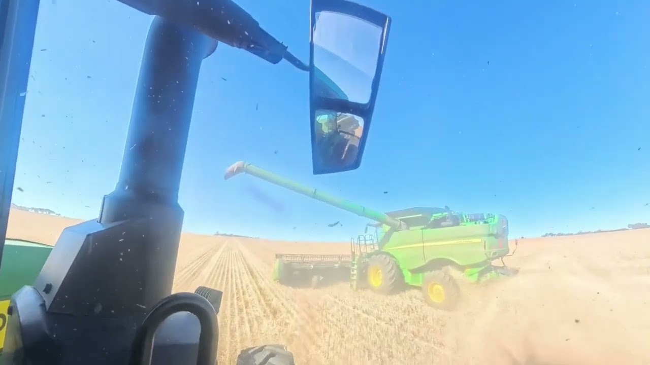 Briton Does Australian Harvest | How to work a Chaser Bin with an Aussie