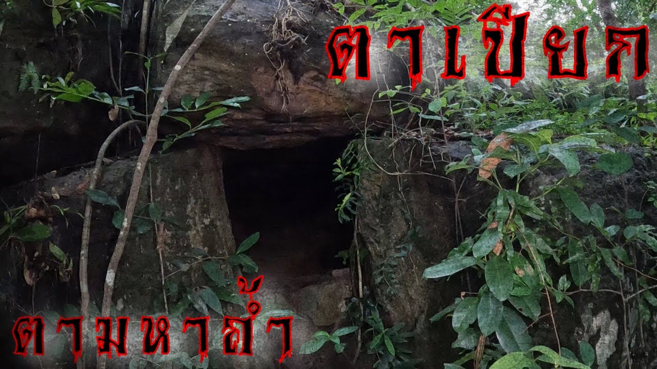 ตามหาถ้ำตาเปียกหรือถ้ำแข้ กลางป่าลึก บ้านมะนาว ดงหลวง มุกดาหาร