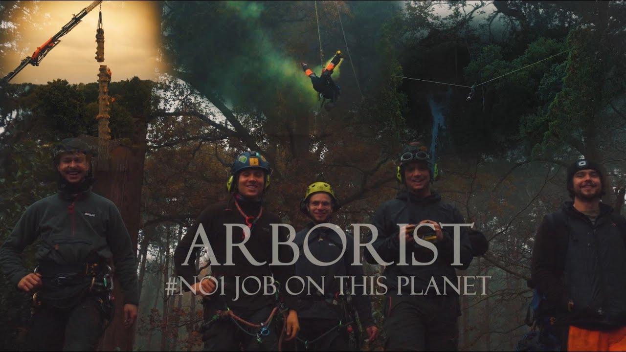 Arborist / Tree Surgeon No1 Job On This Planet    ' SHORT CINEMATIC FILM '