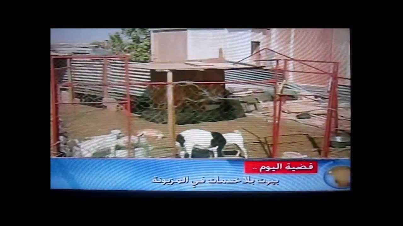 من المسؤول؟