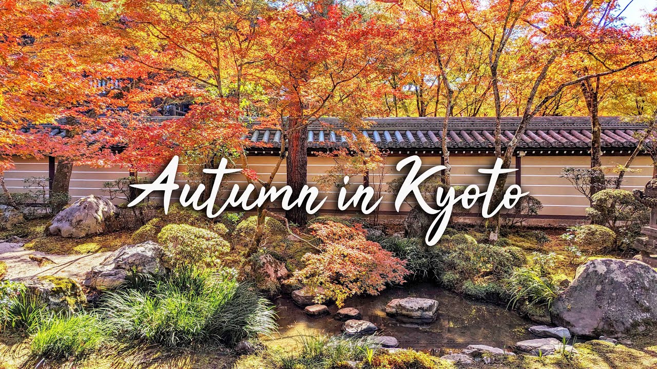 [4K] Beautiful Autumn Kyoto in Eikando Temple