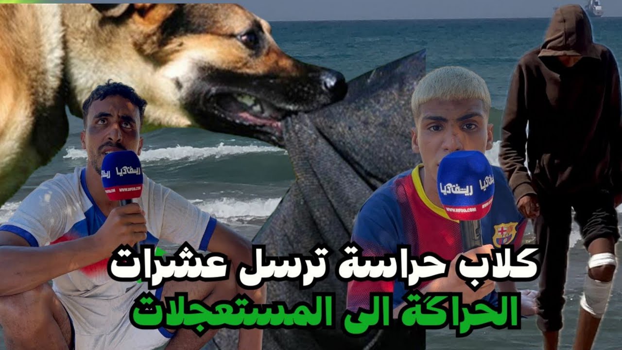 شهادات صادمة.. كلاب حراسة ترسل عشرات الحراگة الى المستعجلات بالناظور