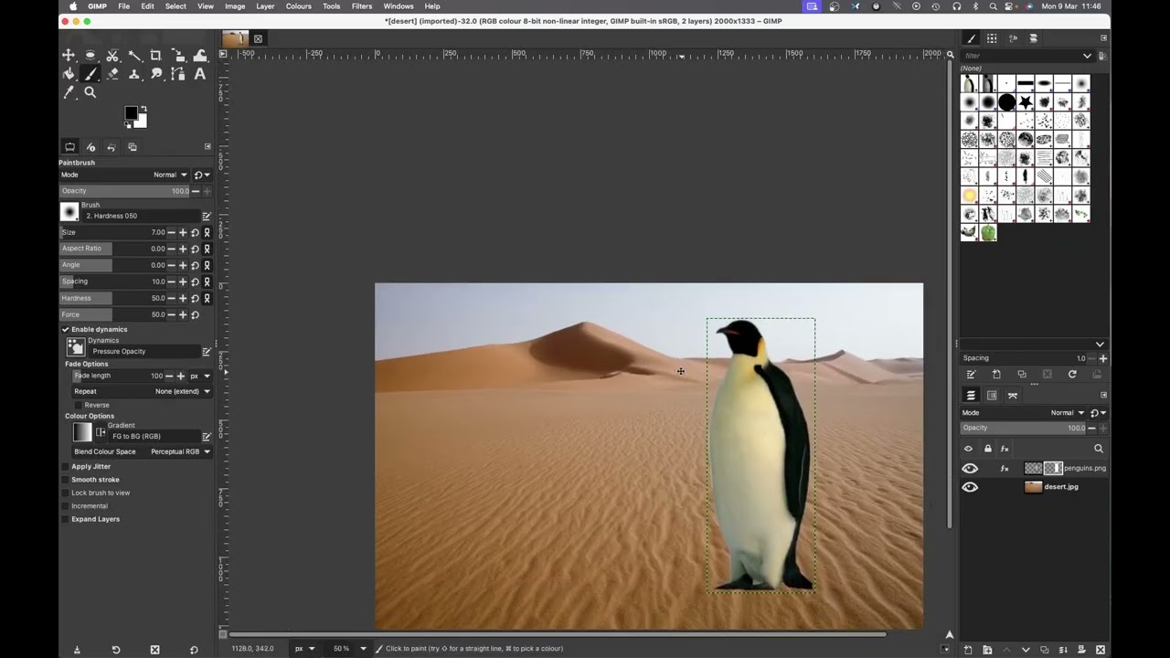 Penguin in the desert