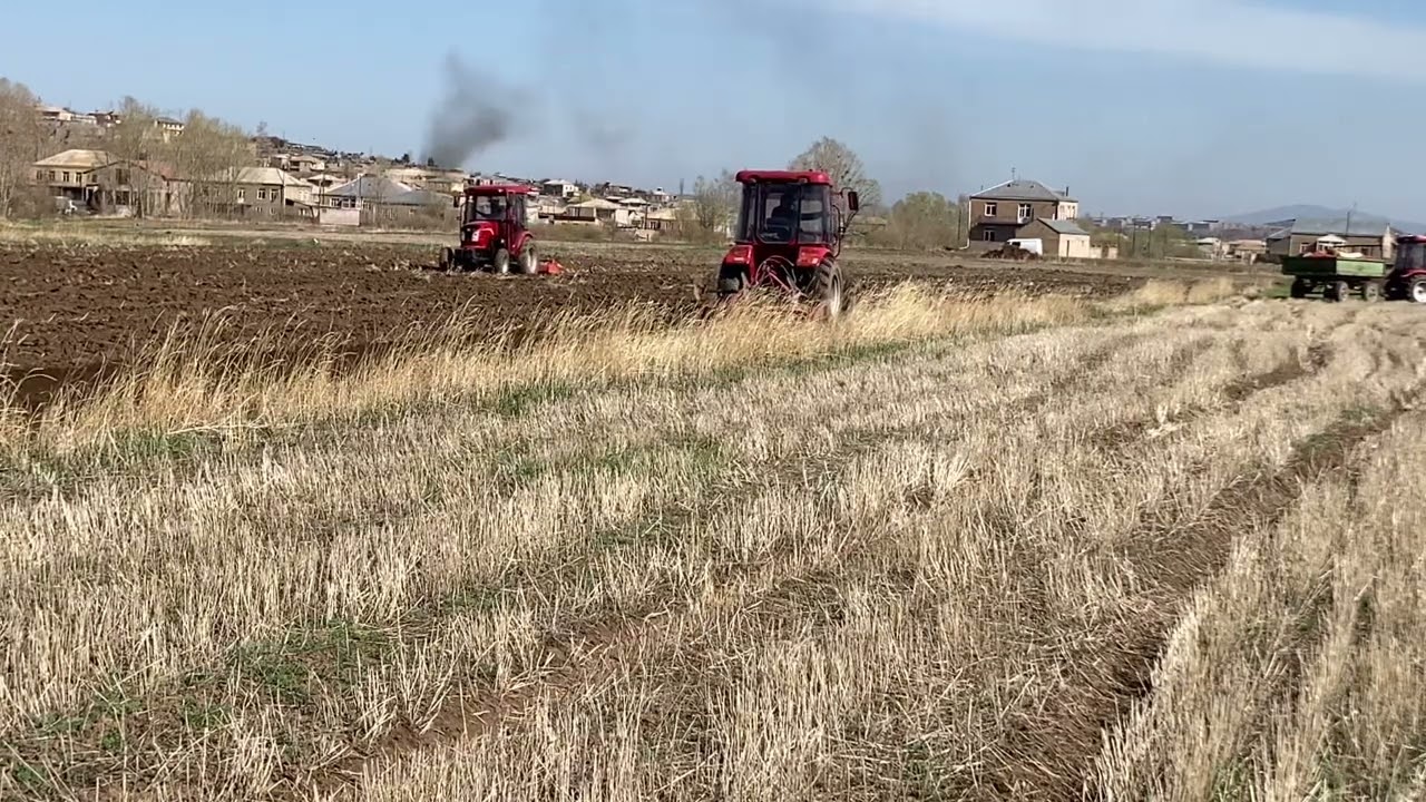 Tractor belarus df 404 in work.    #Df404