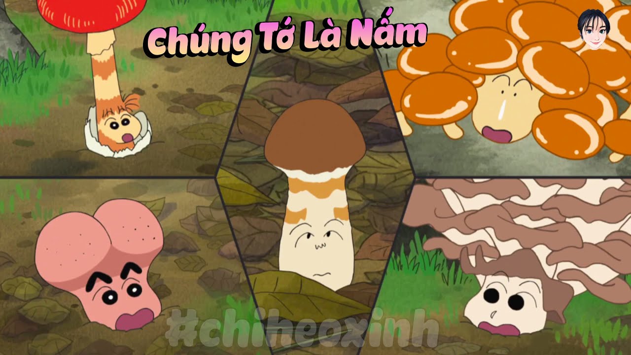 Review Shin Cậu Bé Bút Chì Tổng Hợp Phần 23 | #CHIHEOXINH | Chúng Tớ Là Nấm