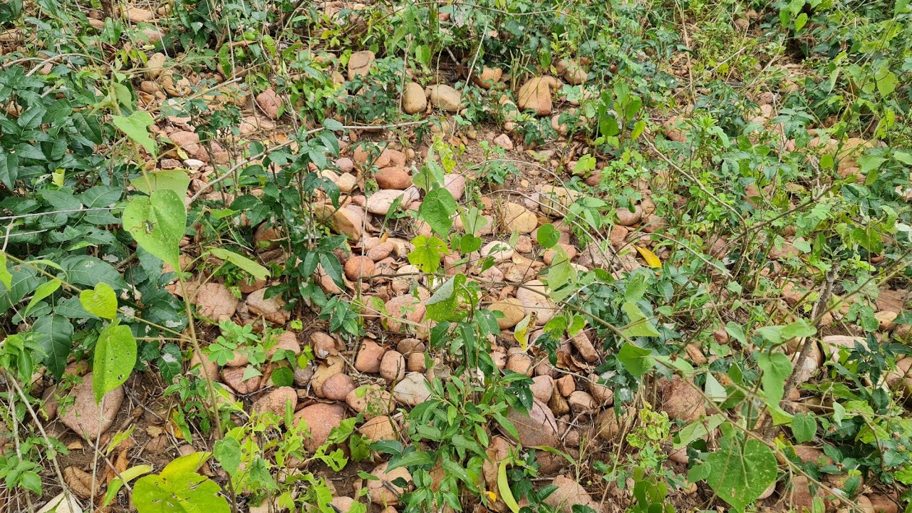 Procurando pedras preciosas na montanha