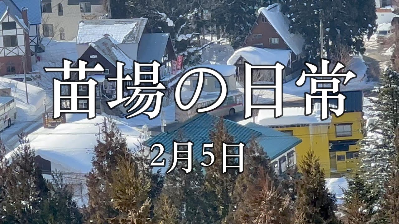 (486) Живущий в одиночестве в Наэбе