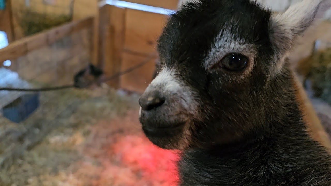 We Saved This Baby's Life