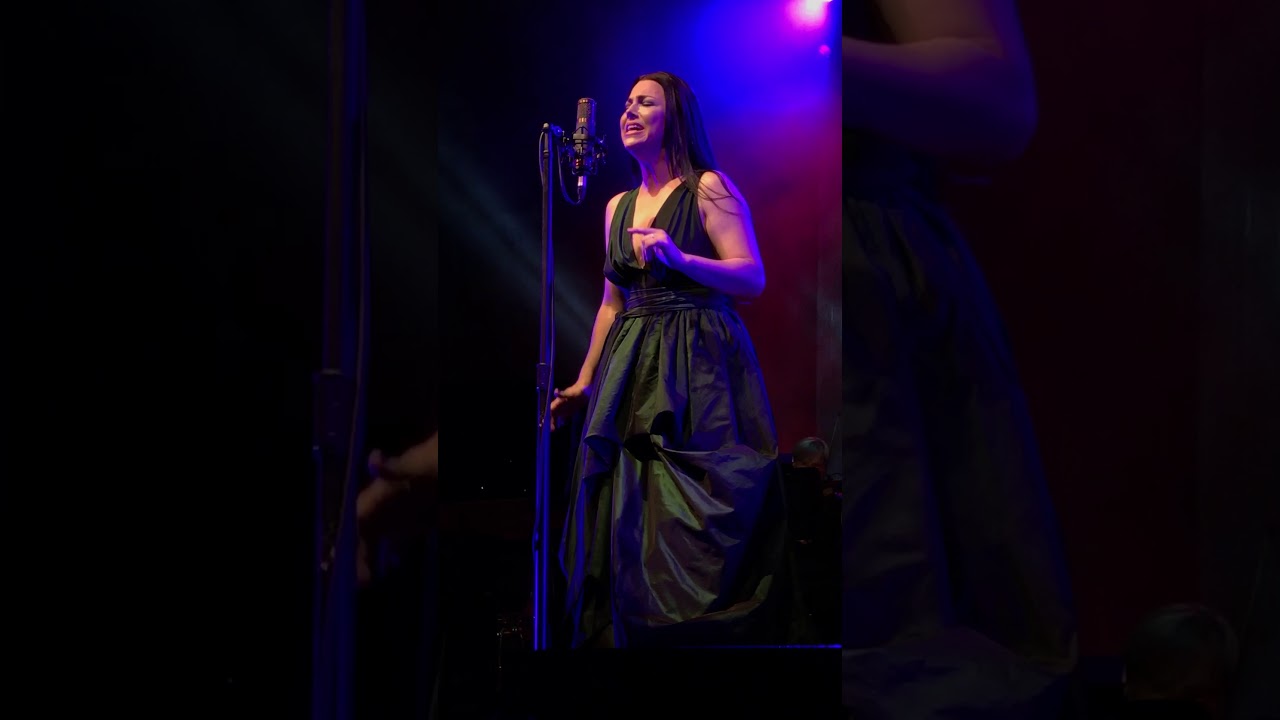 Evanescence 2017: Bring Me To Life (Live)