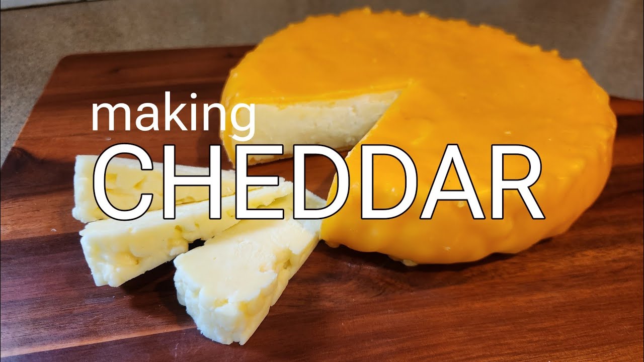 Cheesemaking 201: Making Farmhouse Cheddar