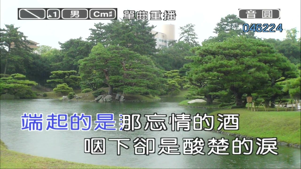 飛鴿#酒後更想你/詞曲:晨𤋮/影像翻唱:一葱