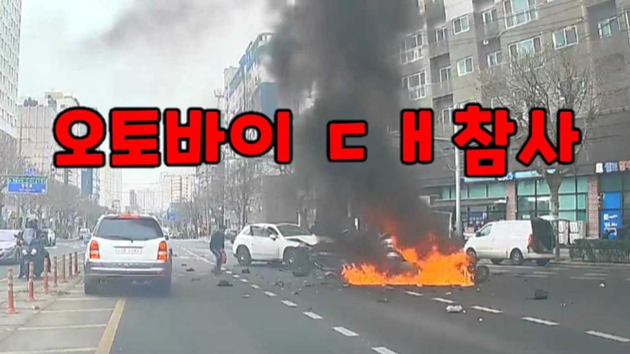 운전은 목숨걸고 하는겁니다!!!  ..도참시 블랙박스 : 2026 최신블박영상